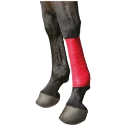KERBL Stallapotheke<Selbsthaftende Bandage EquiLastic