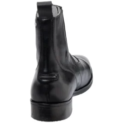 Königs Reitstiefeletten<Stiefelette Linz
