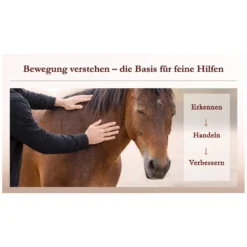 Loesdau Bücher & Multimedia<Körperarbeit als Dialog, Pferdeosteophatie trifft Natural Horsemanship