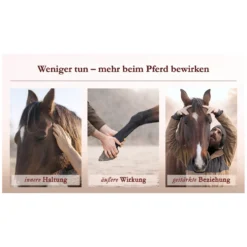 Loesdau Bücher & Multimedia<Körperarbeit als Dialog, Pferdeosteophatie trifft Natural Horsemanship