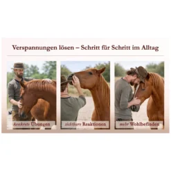 Loesdau Bücher & Multimedia<Körperarbeit als Dialog, Pferdeosteophatie trifft Natural Horsemanship