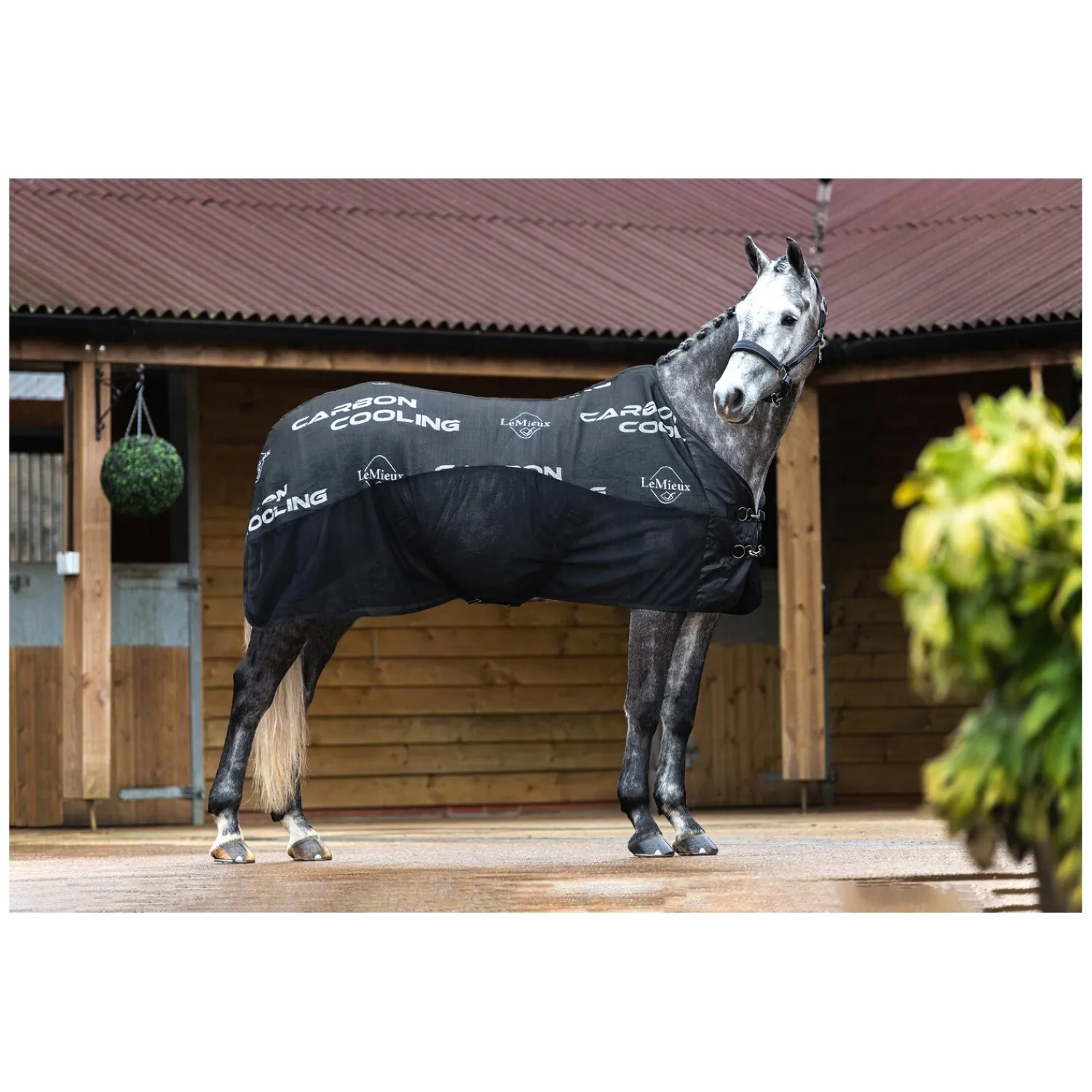 LeMieux Pferdedecken|Transportdecken<Abschwitzdecke Carbon Cooler Rug