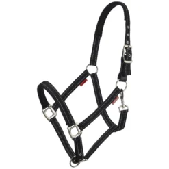 LeMieux Halfter<Core Halfter Essential Yard