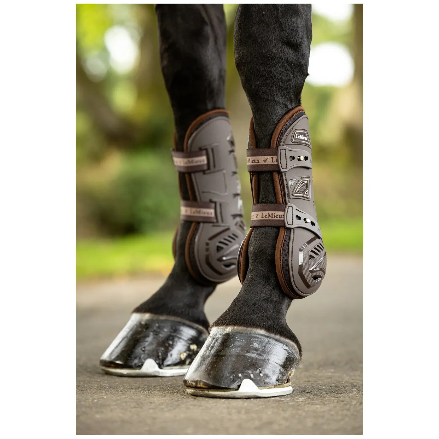 LeMieux Gamaschen<Gaaschen otion Coo Tendon