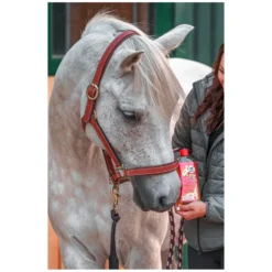 Loesdau Pferdepflege<leovet Power Shampoo mit Kamille