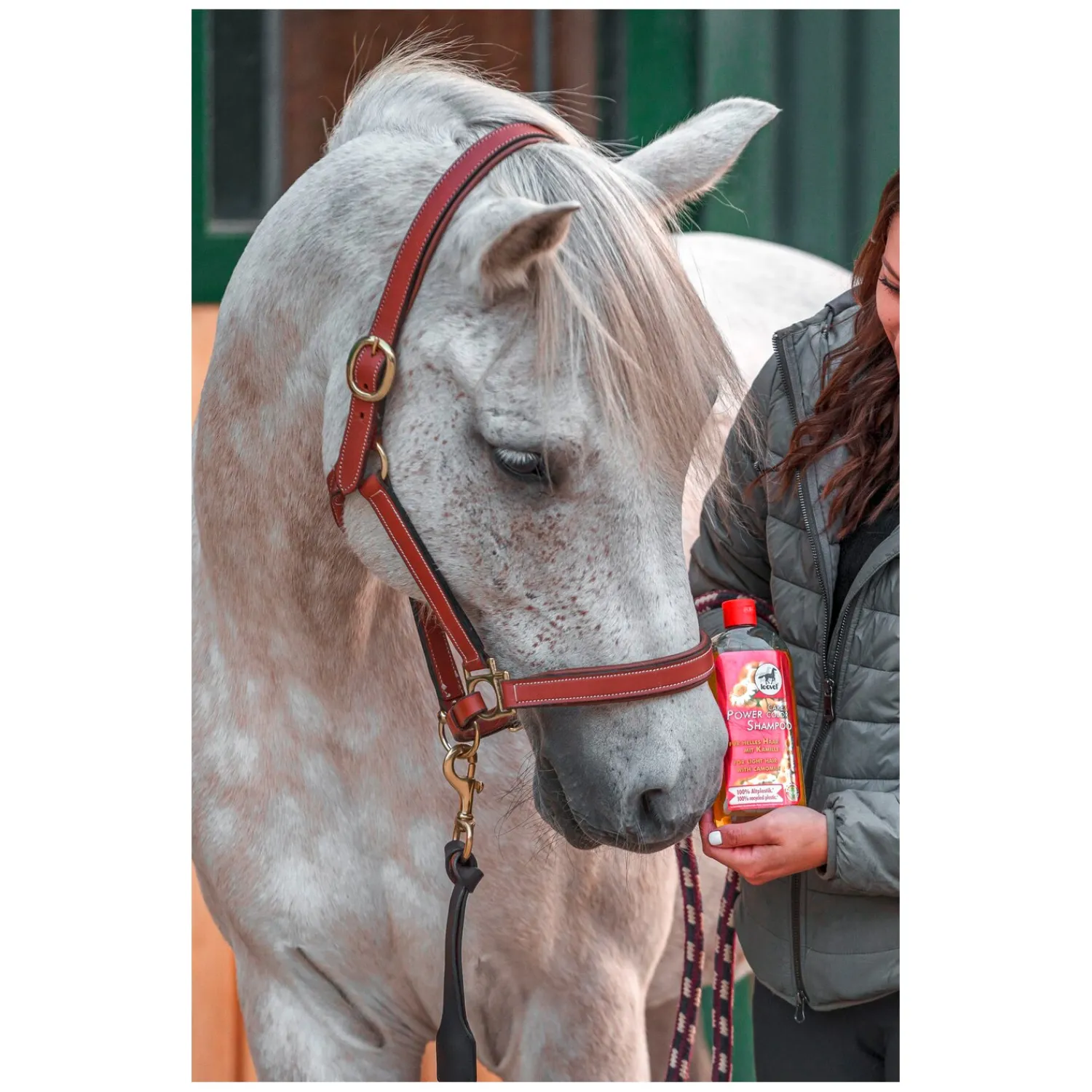 Loesdau Pferdepflege<leovet Power Shampoo mit Kamille