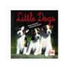 Loesdau Hunde - Bücher|Bücher & Multimedia<Little Dogs