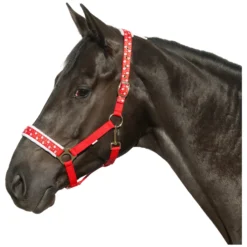 Loesdau Geschenke Für Reiter|Halfter<Halfter Happy X-Mas