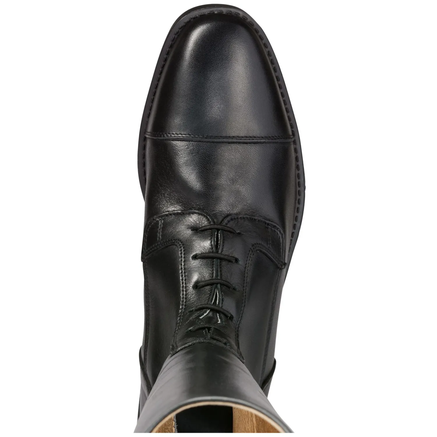 Loesdau Lederreitstiefel<Reitstiefel Porto Jump Soft