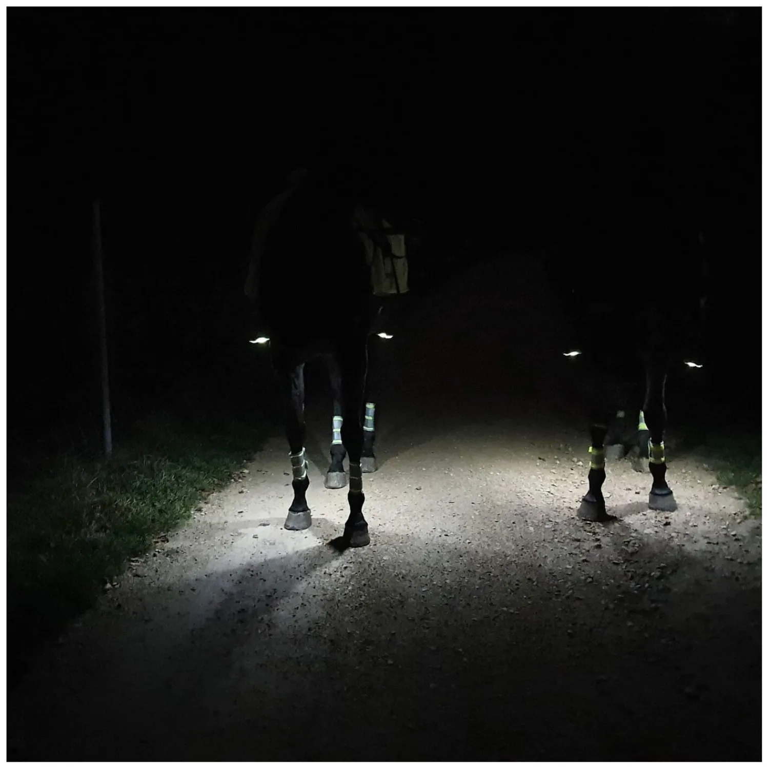 Loesdau Steigbügel|Sättel & Zubehör<LOVELSTAR Steigbügeleinlagen LEDs Pro