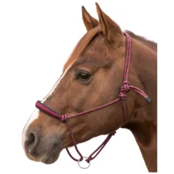 L-pro West Knotenhalfter<Knotenhalfter Bicolor