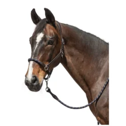 L-pro West Halfter<Lederhalfter Combination