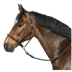 L-pro West Halfter<Lederhalfter Combination