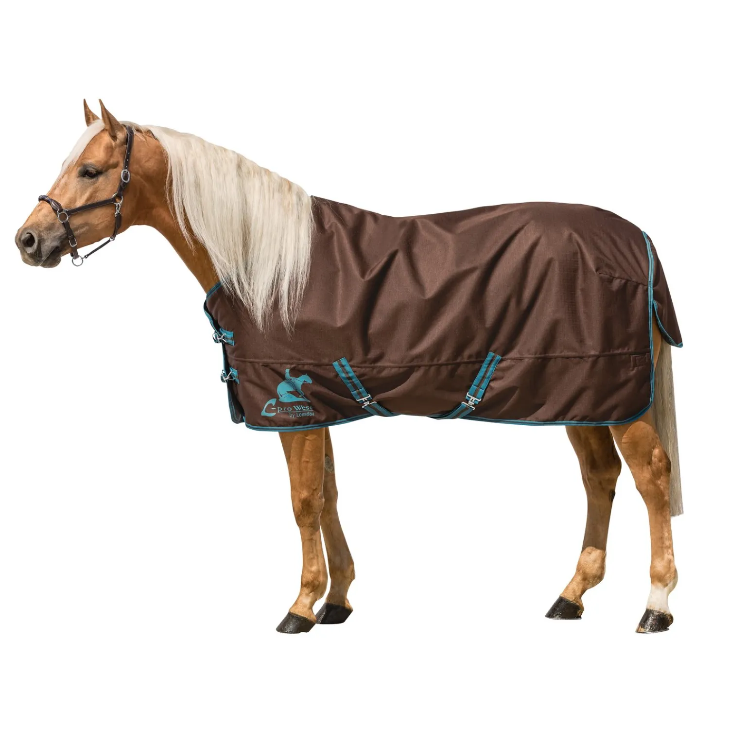 L-pro West Pferdedecken<Paddockdecke-/Outdoordecke 250 g