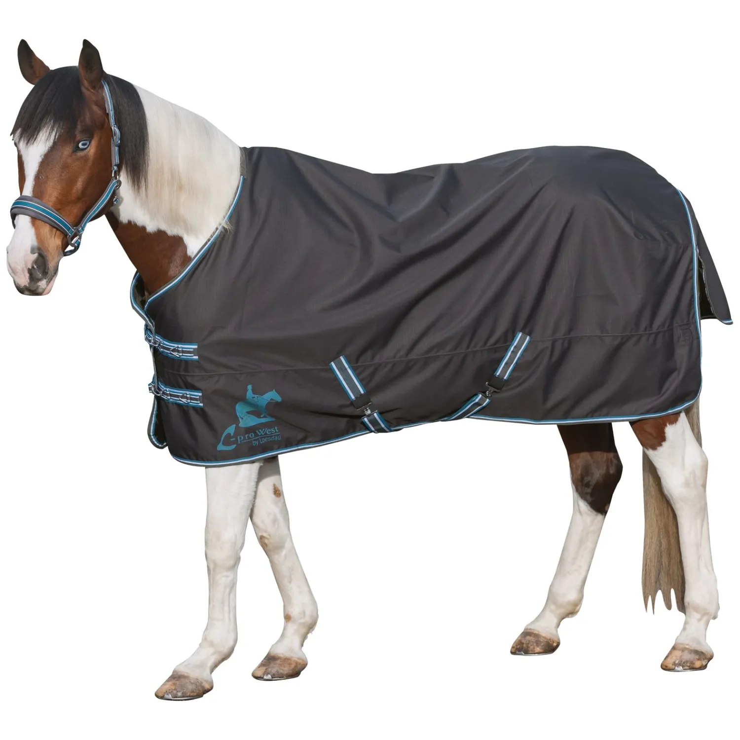 L-pro West Pferdedecken<Paddock- und Outdoordecke Light