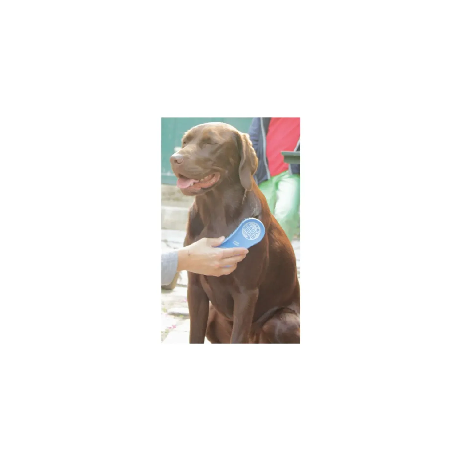 Loesdau Hundebürsten<MagicBrush Bürste Dog