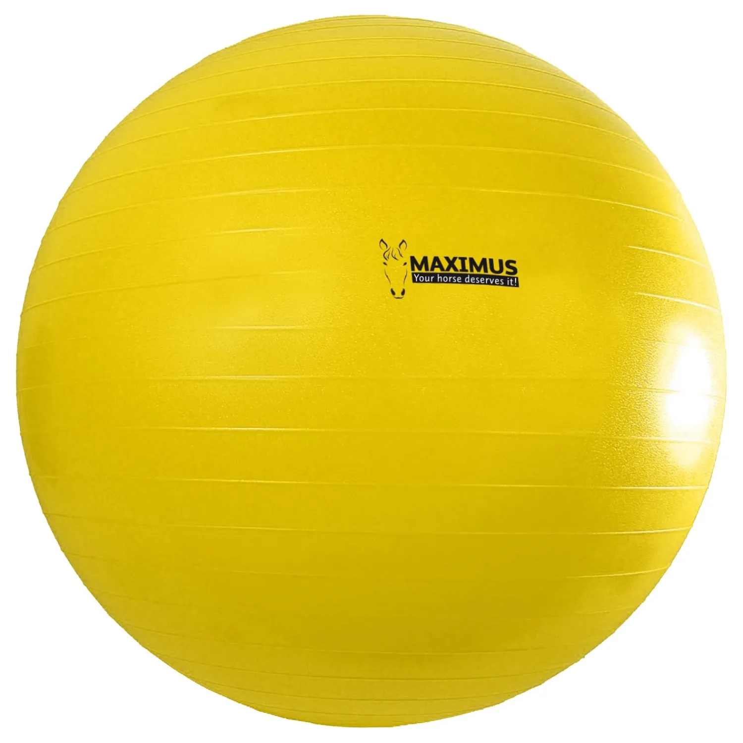 MAXIMUS Geschenke Für Reiter|Pferdespielzeug<Ball Power Play