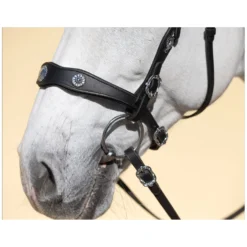 Loesdau Trensen<MONTIVUM Trensenzaum Jerez de la Frontera
