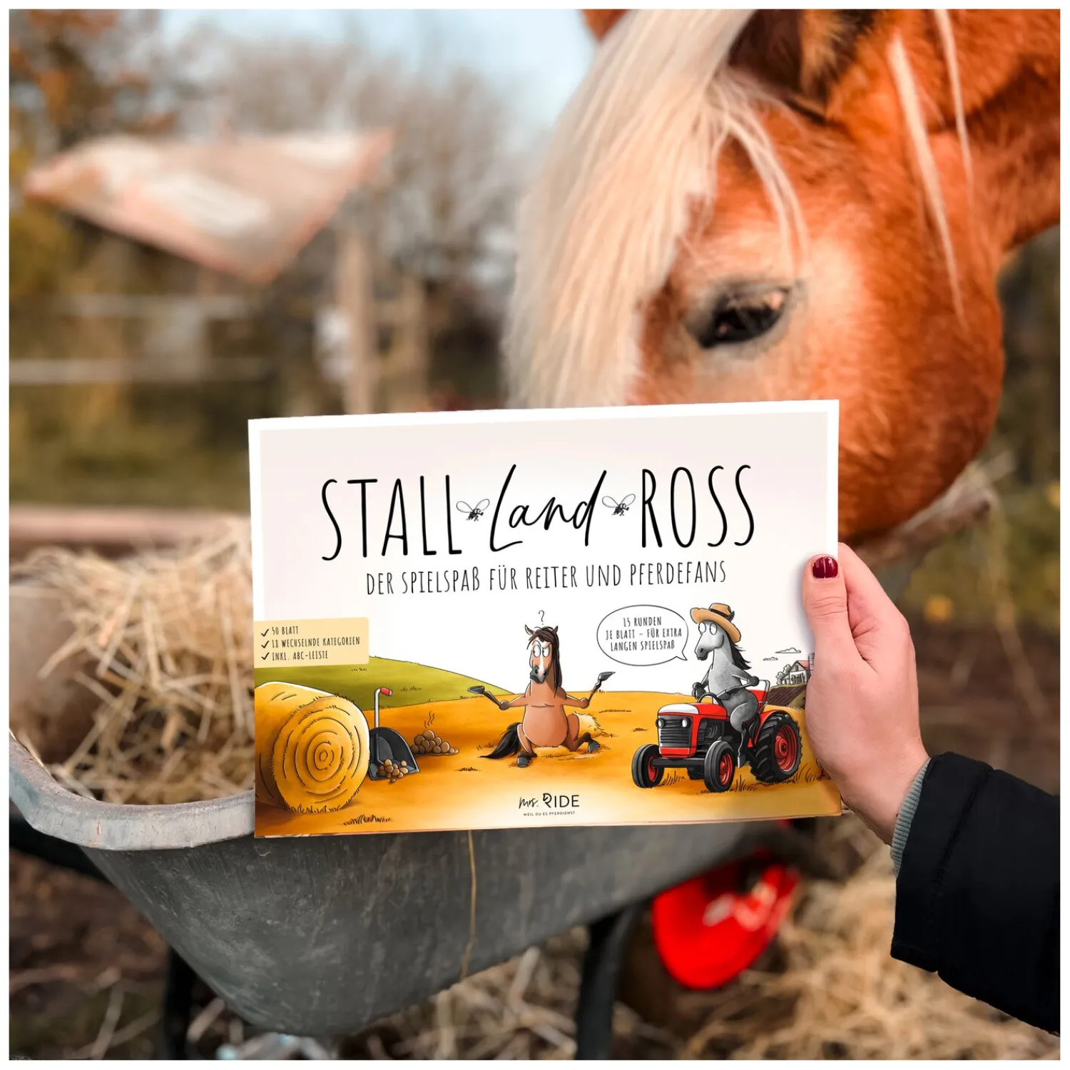 Loesdau Geschenke Für Reiter<mrs. RIDE Spielblock Stall Land Ross