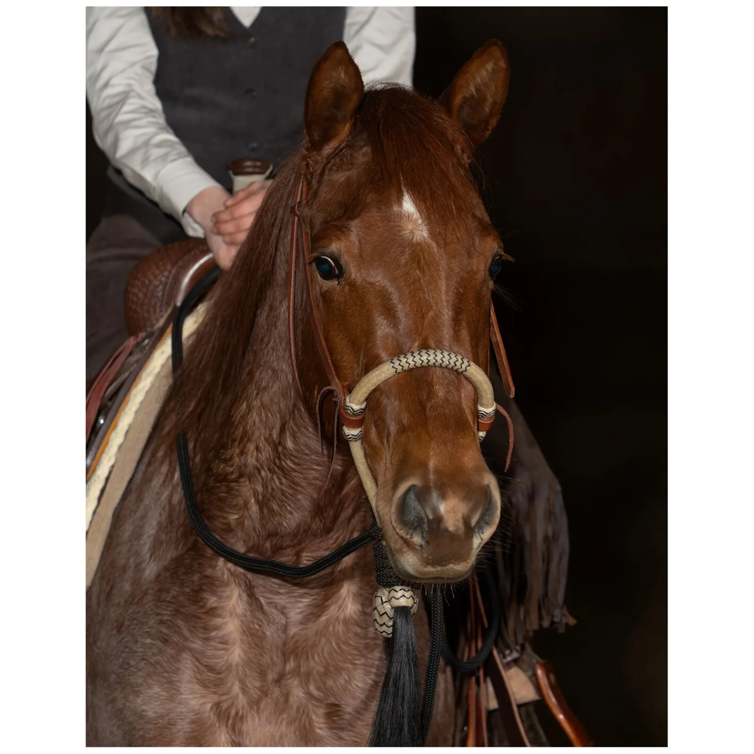 Loesdau Gebisslose Trensen<Passion 4Q Bosal Set