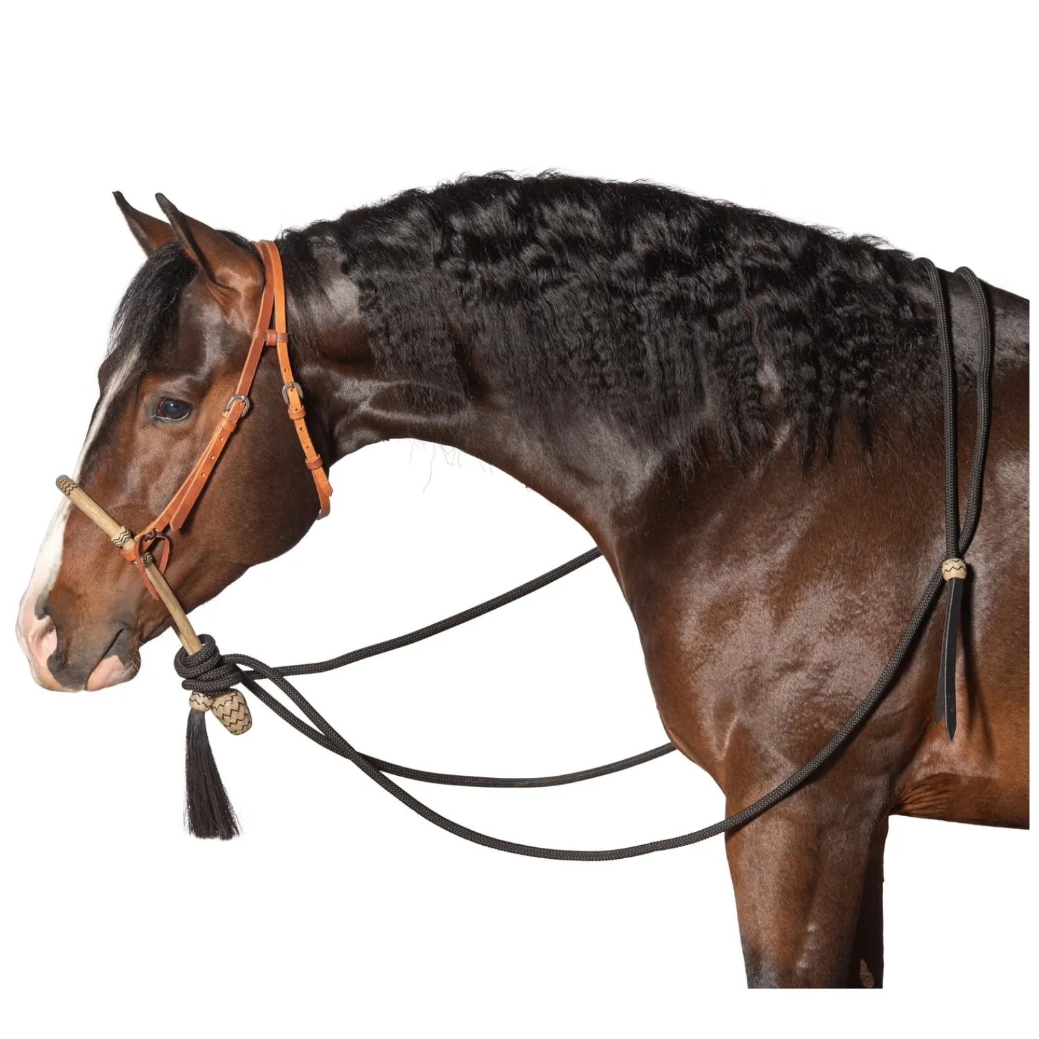 Loesdau Gebisslose Trensen<Passion 4Q Bosal Set