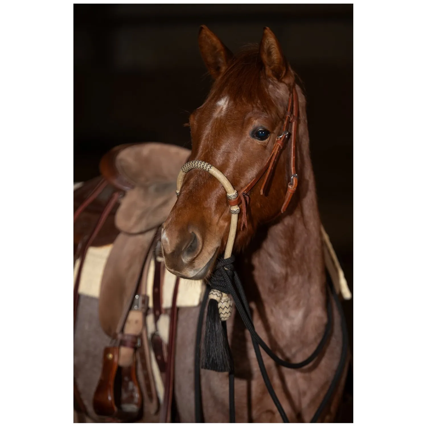 Loesdau Gebisslose Trensen<Passion 4Q Bosal Set