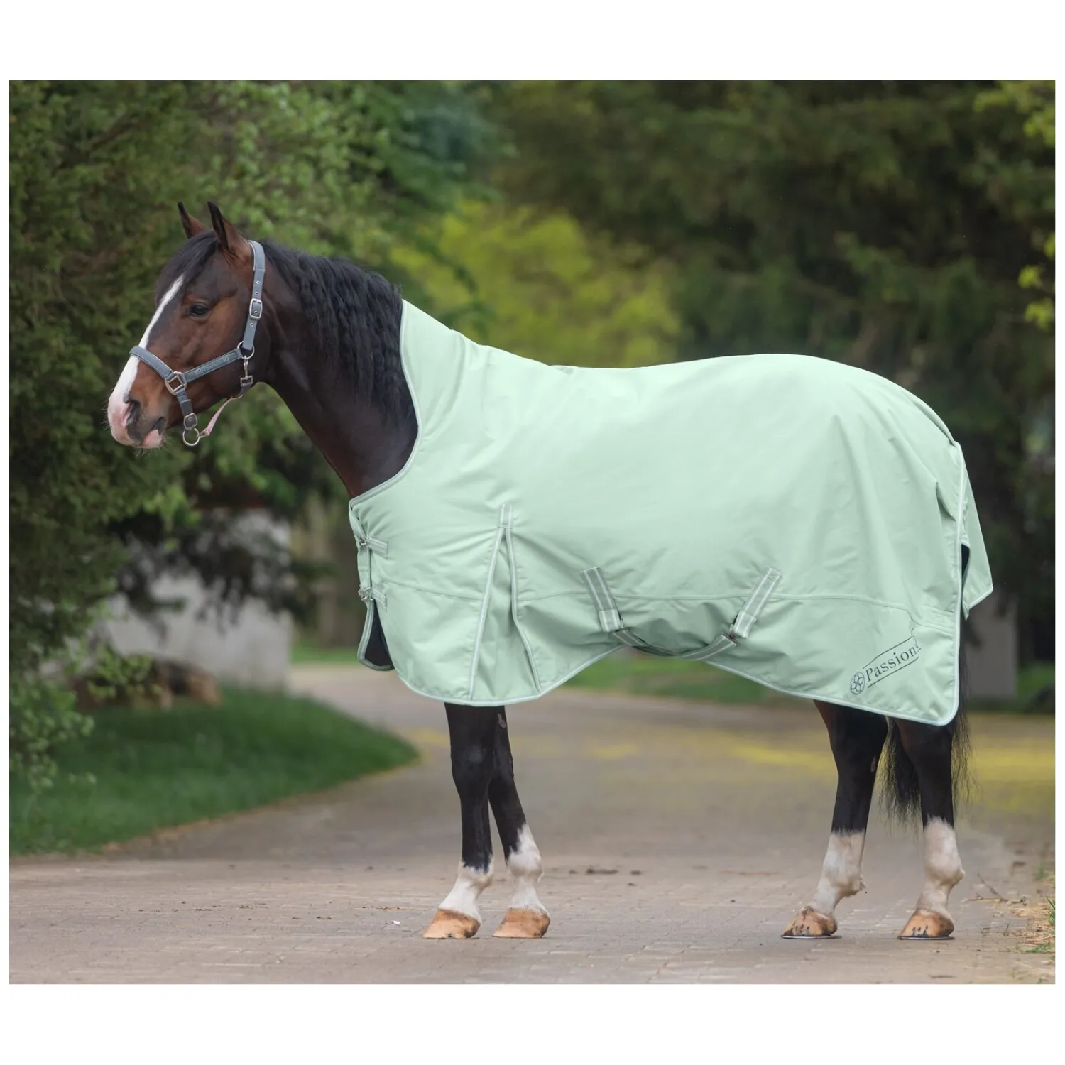 Passion 4Q Pferdedecken<Outdoordecke