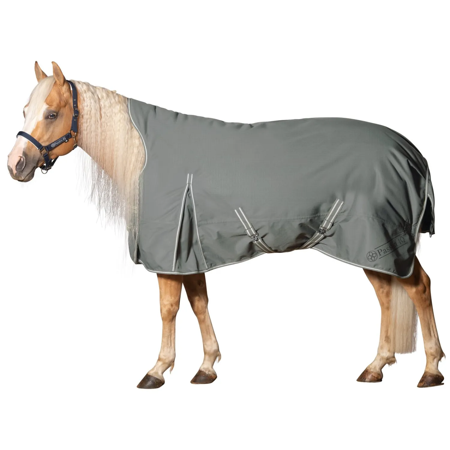 Passion 4Q Pferdedecken<3-Zonen Outdoordecke