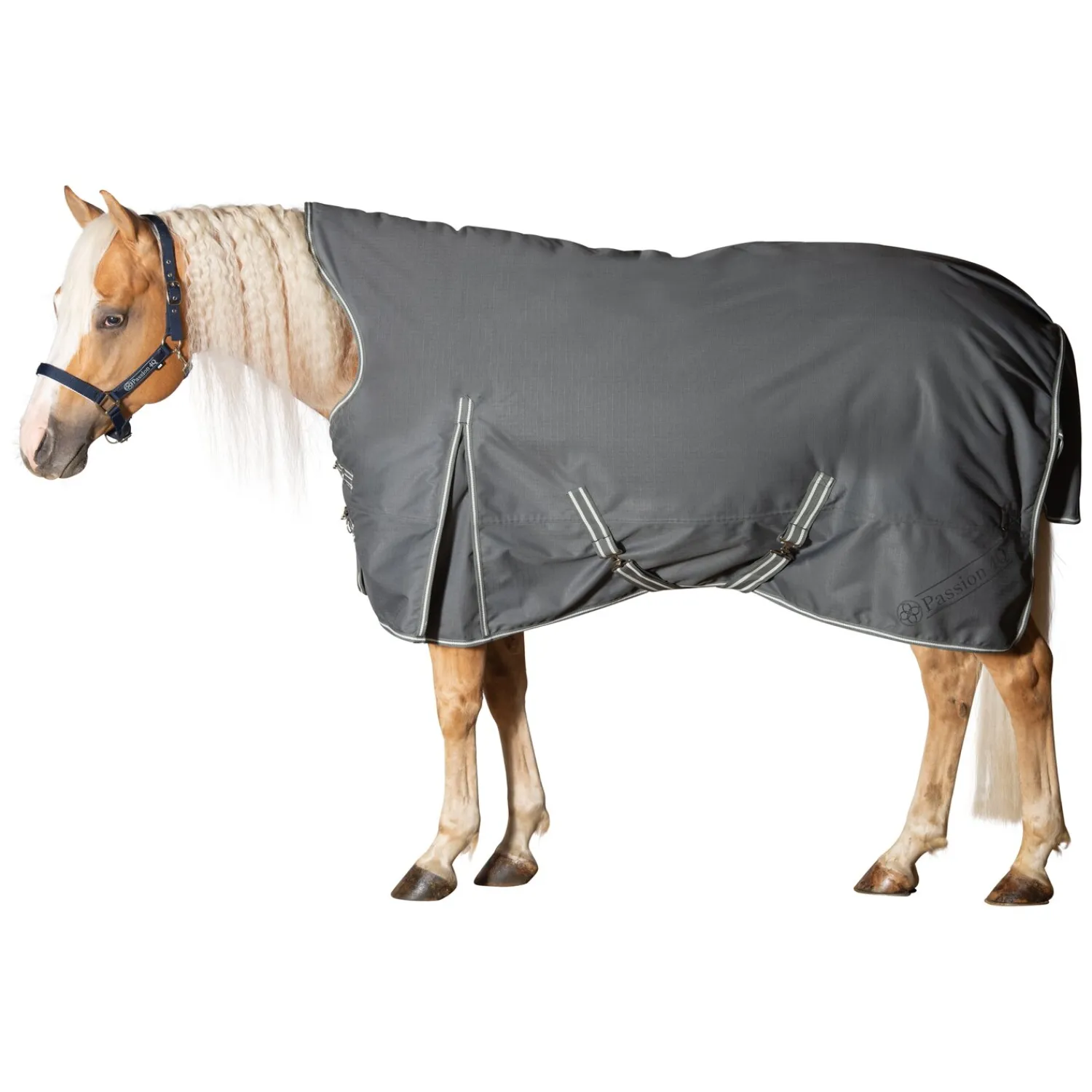 Passion 4Q Pferdedecken<3-Zonen Outdoordecke