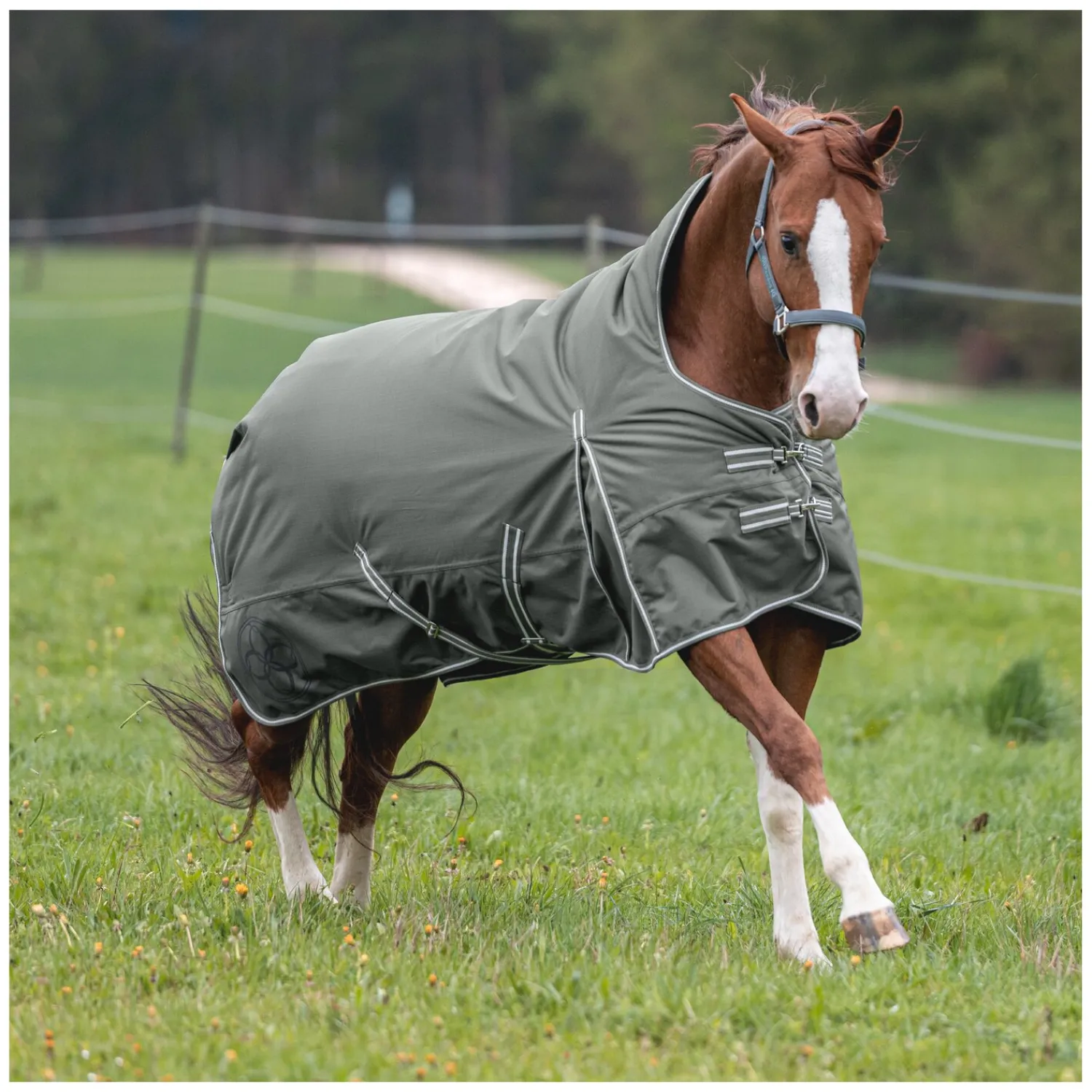 Passion 4Q Pferdedecken<3-Zonen Outdoordecke