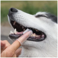 Loesdau Pflegeprodukte|Hundebürsten<pawberry Fingerzahnbürste