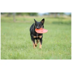 Loesdau Hundespielzeug<pawberry Frisbee Bissstark