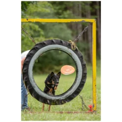 Loesdau Hundespielzeug<pawberry Frisbee Bissstark