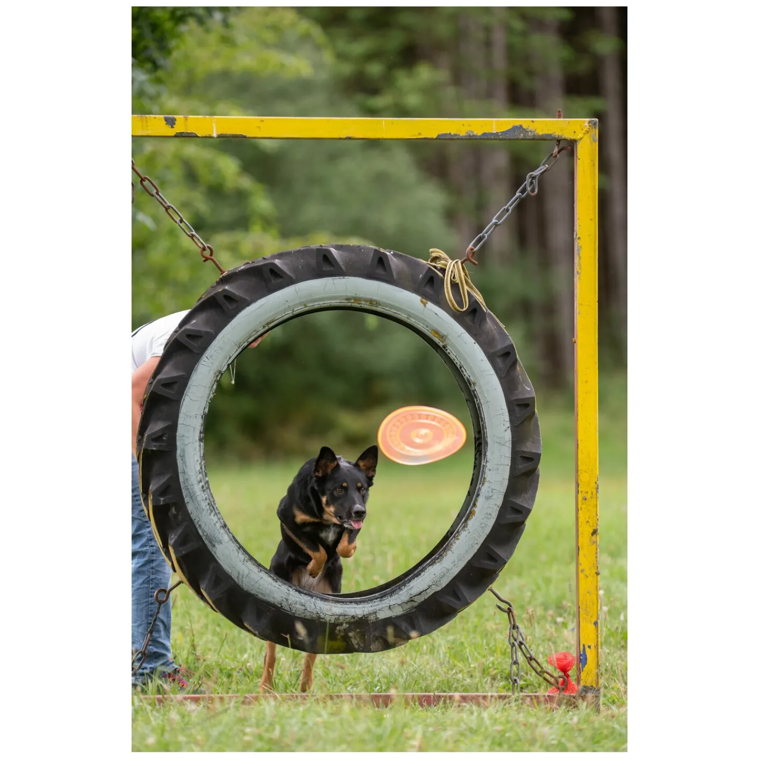 Loesdau Hundespielzeug<pawberry Frisbee Bissstark