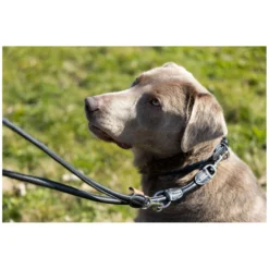 pawberry Hundehalsbänder<Hundehalsband Lyon
