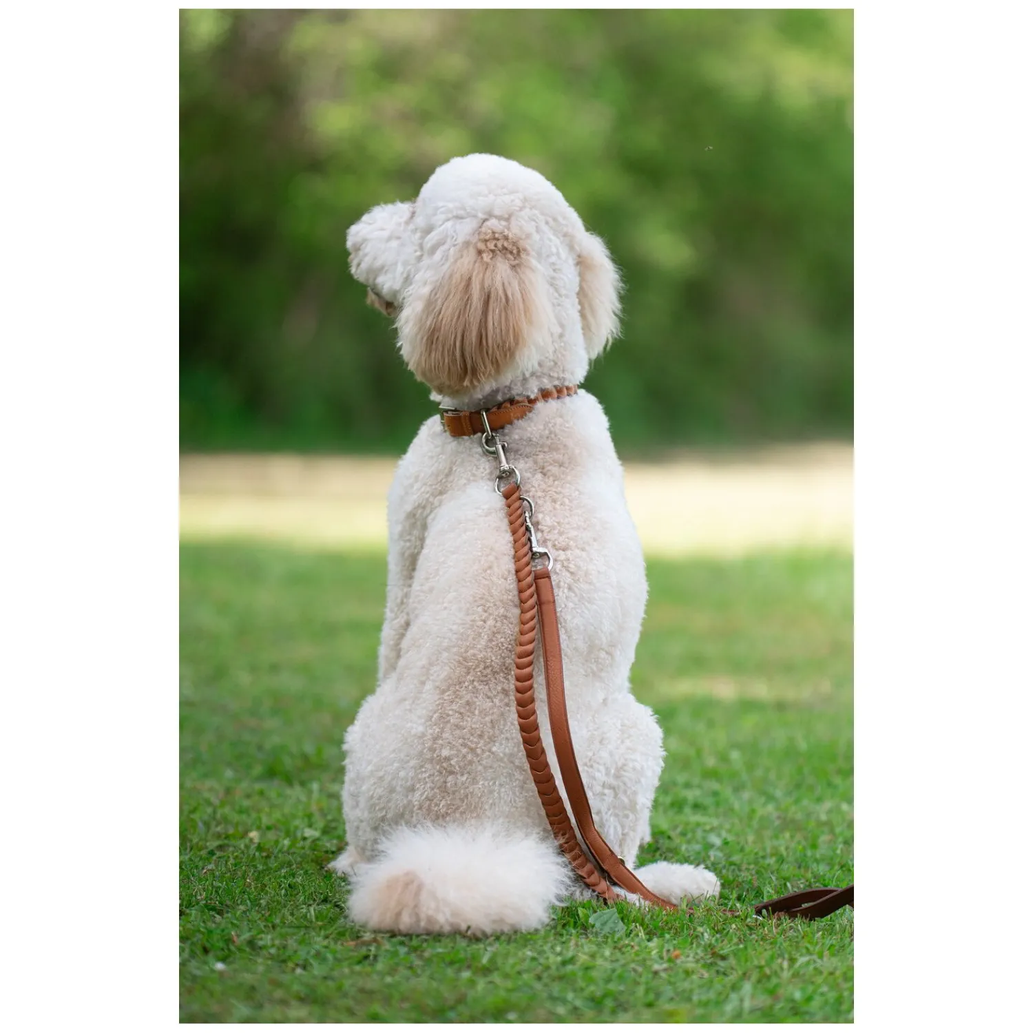 pawberry Hundehalsbänder<Hundehalsband Praha