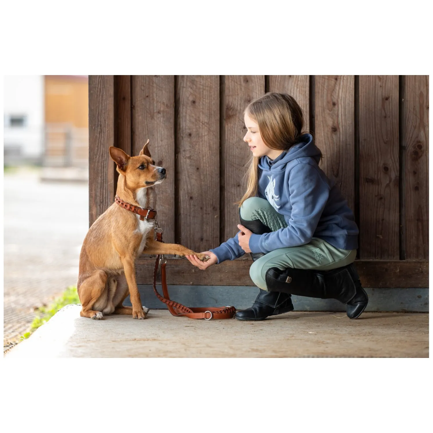 pawberry Hundehalsbänder<Hundehalsband Praha