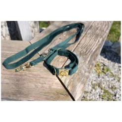 pawberry Hundehalsbänder<Hundehalsband Valencia