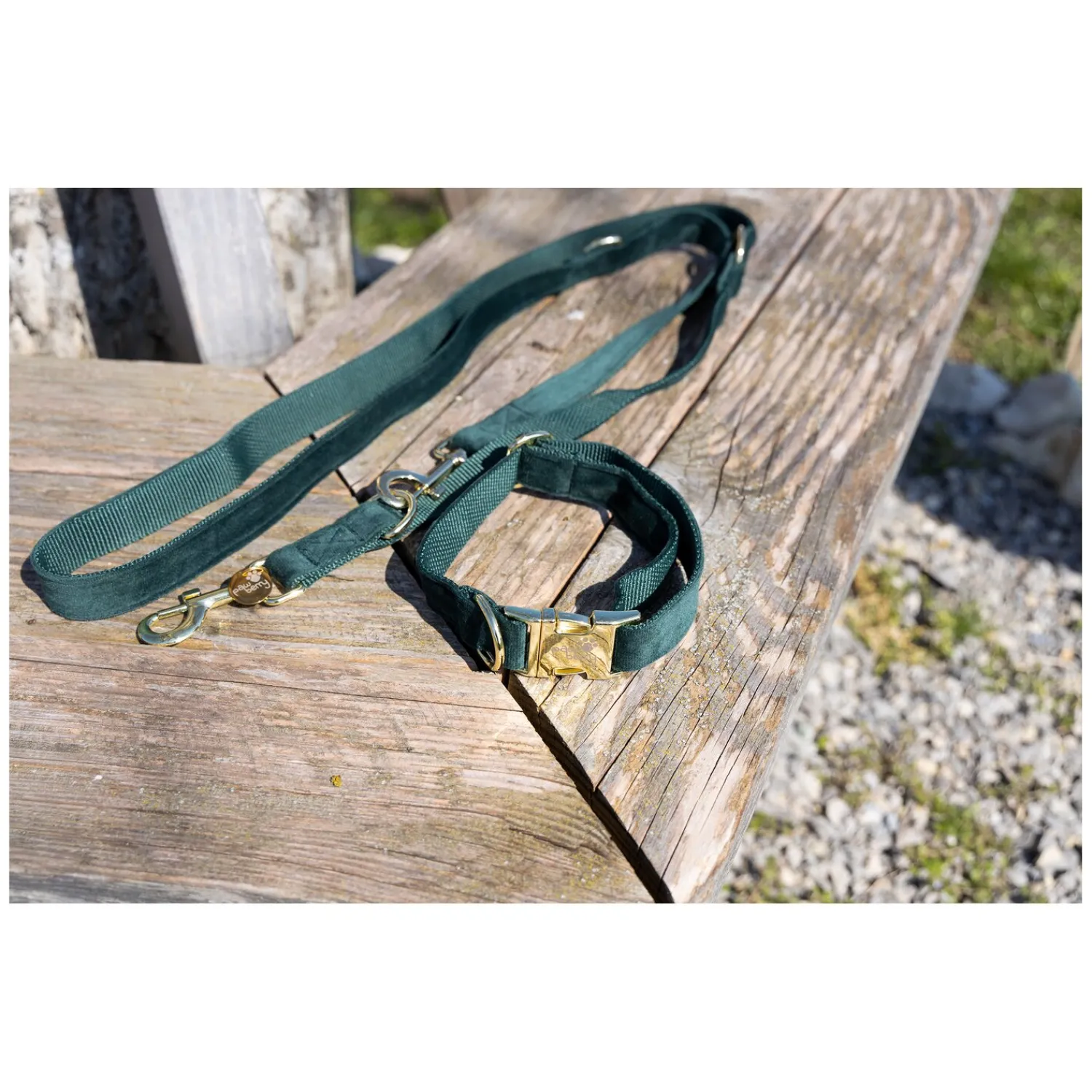 pawberry Hundehalsbänder<Hundehalsband Valencia