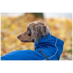 pawberry Hundemäntel<Hundemantel Rainstormer