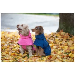pawberry Hundemäntel<Hundemantel Rainstormer