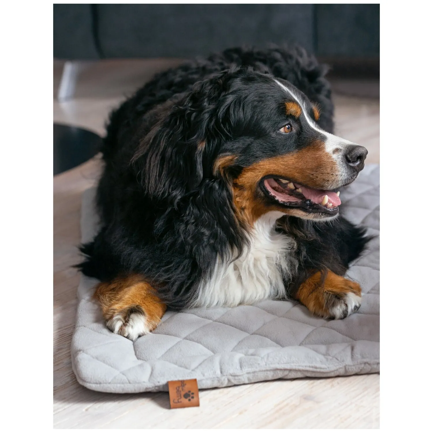 pawberry Hundebetten<Hundeplatzdecke Fleece