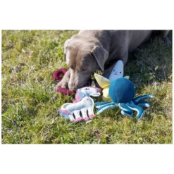 Loesdau Hundespielzeug<pawberry Hundespielzeug Anker