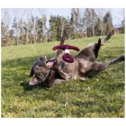 Loesdau Hundespielzeug<pawberry Hundespielzeug Anker