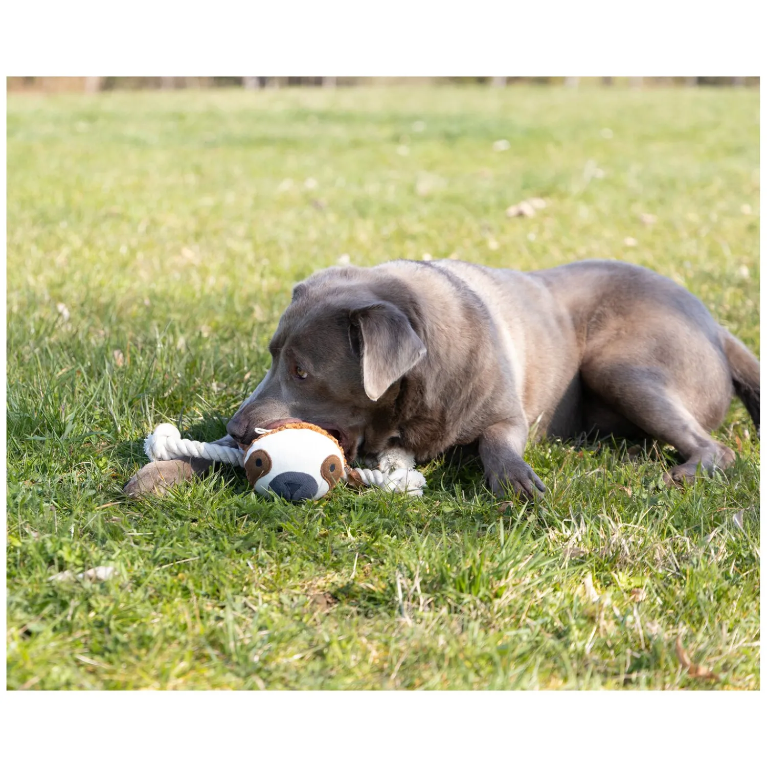 Loesdau Hundespielzeug<pawberry Hundespielzeug Faultier