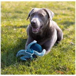 Loesdau Hundespielzeug<pawberry Hundespielzeug Krake