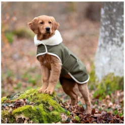 pawberry Hundemäntel<Hunde-Wintermantel Stockholm