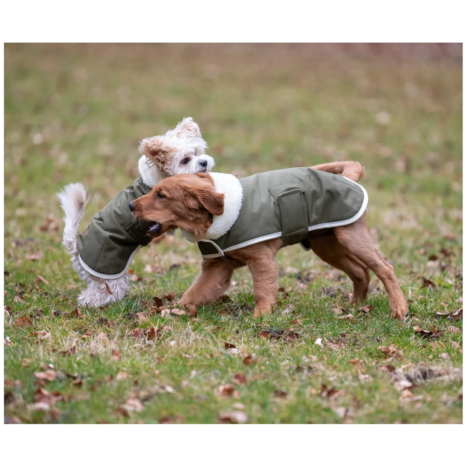 pawberry Hundemäntel<Hunde-Wintermantel Stockholm