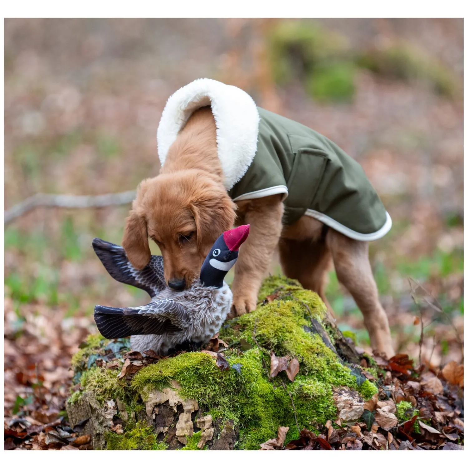 pawberry Hundemäntel<Hunde-Wintermantel Stockholm