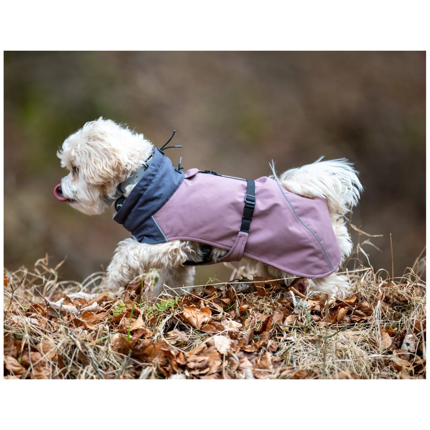 pawberry Hundemäntel<Hunde-Wintermantel Tallinn
